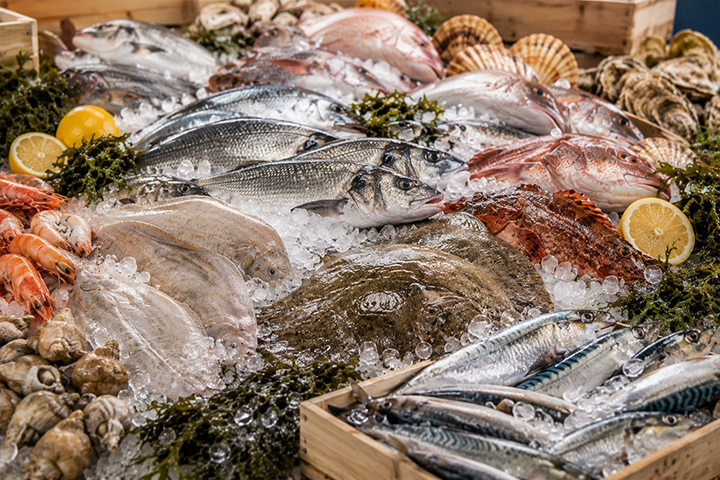 Poissons frais sur lit de glace Vieux-Boucau-les-Bains