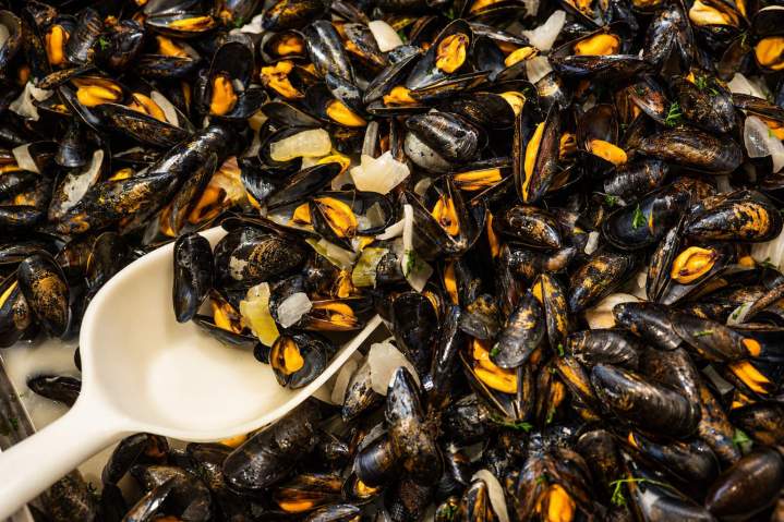 Moules marinières Vieux-Boucau-les-Bains