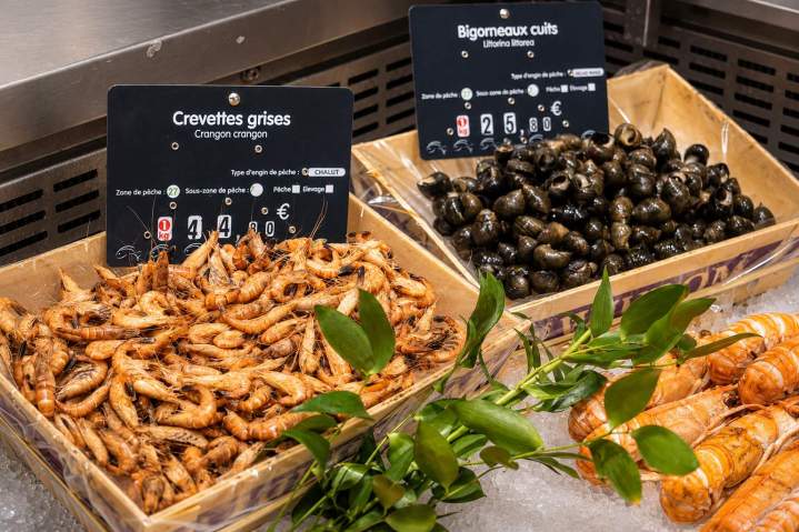 Crevettes grises et bigorneaux cuits Vieux-Boucau-les-Bains