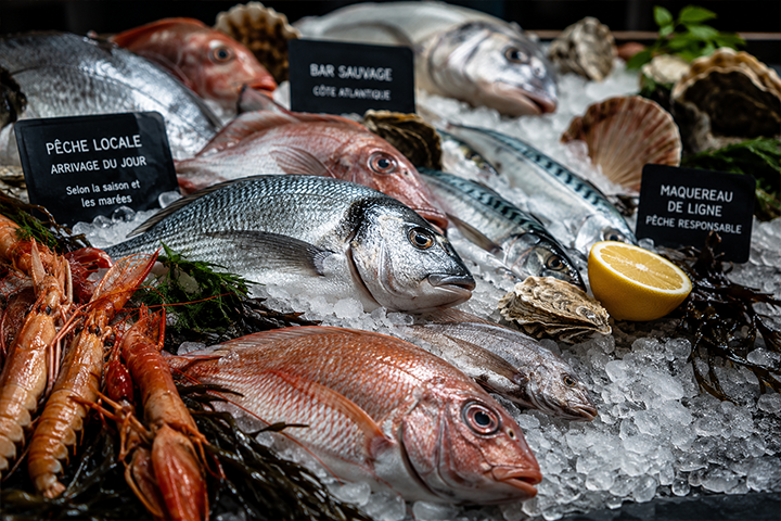 Poissons frais sur lit de glace Vieux-Boucau-les-Bains