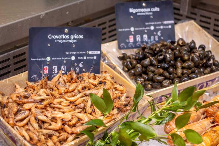 Crevettes grises et bigorneaux cuits Vieux-Boucau-les-Bains