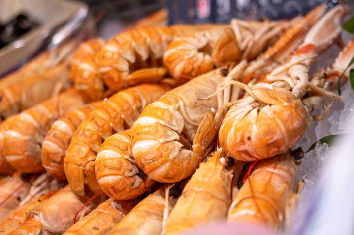 Langoustines fraîches Vieux-Boucau-les-Bains